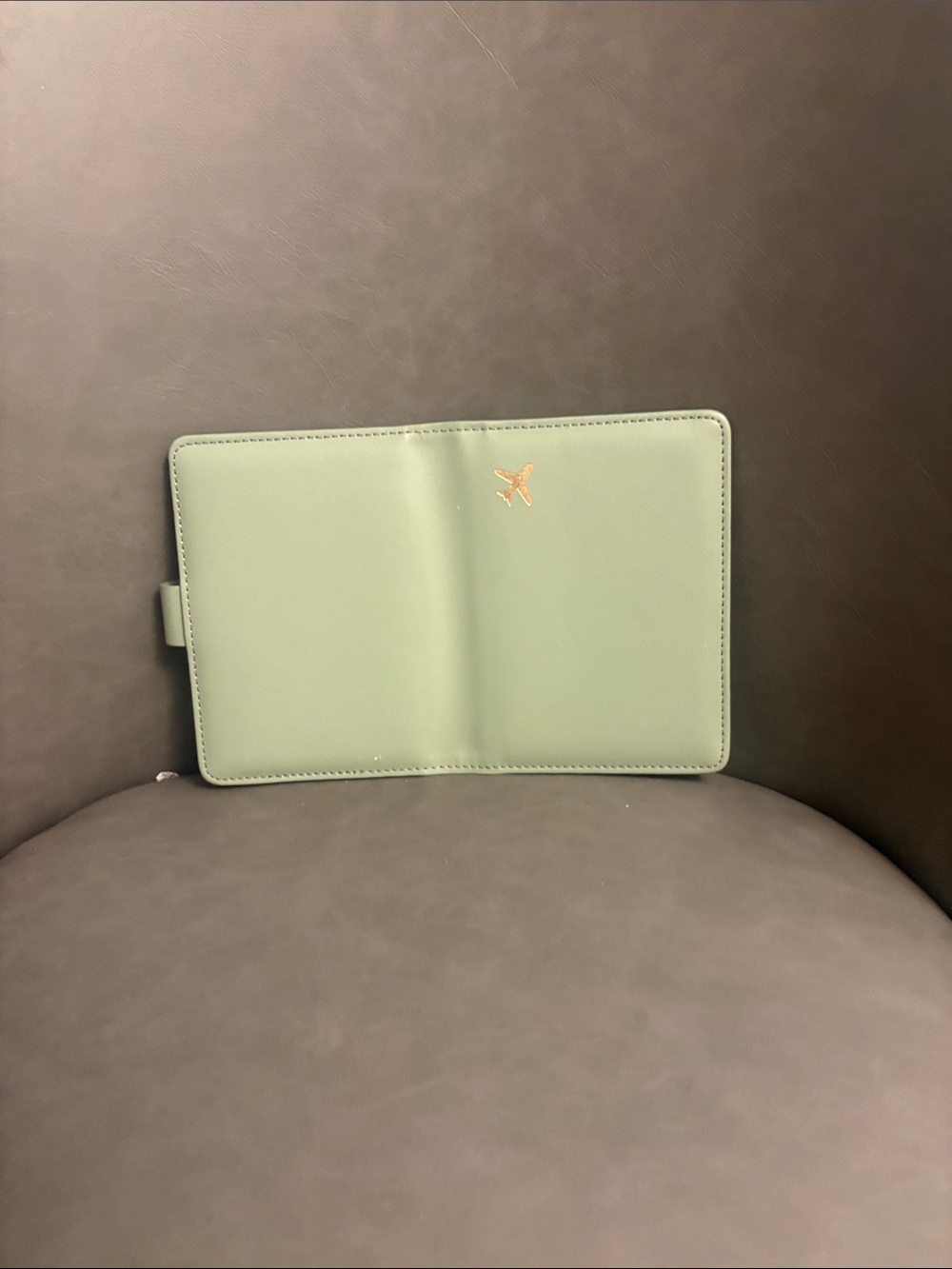 Mint Green Passport Cover with Gold Airplane Accent